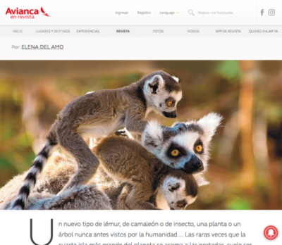 Mi último reportaje sobre los lémures de Madagascar