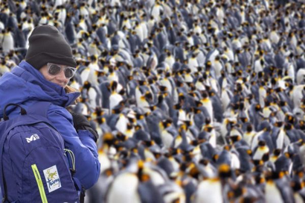 Elena del Amo entre una legión de pingüinos (@luisdavilla)